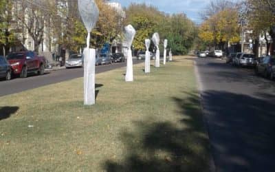 EL MUNICIPIO PROTEGE LOS ÁRBOLES QUE NO SON AUTÓCTONOS PARA PROTEGERLOS DE LA HELADA