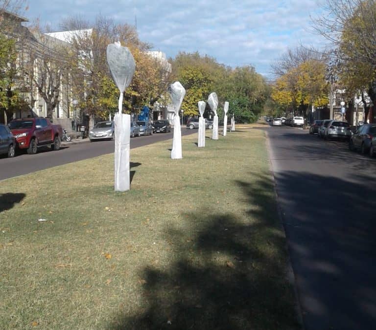 EL MUNICIPIO PROTEGE LOS ÁRBOLES QUE NO SON AUTÓCTONOS PARA PROTEGERLOS DE LA HELADA