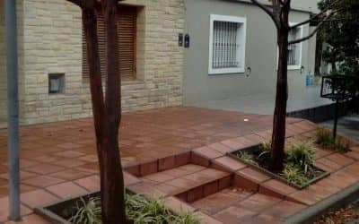 El Municipio recuerda que está prohibida la poda de árboles en forma particular