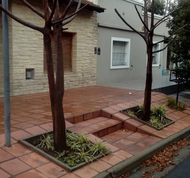 El Municipio recuerda que está prohibida la poda de árboles en forma particular