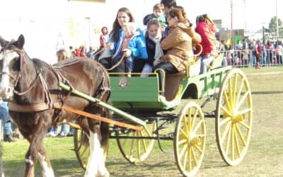 EL PRÓXIMO DOMINGO HABRÁ PASEOS A CABALLO Y EN CARRUAJES EN EL PREDIO DEL FERROCARRIL PARA SEGUIR CELEBRANDO EL DIA DEL NIÑO