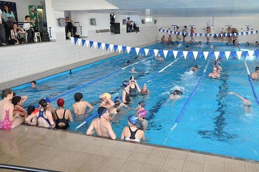 Clasificaron 5 nadadores a la final provincial