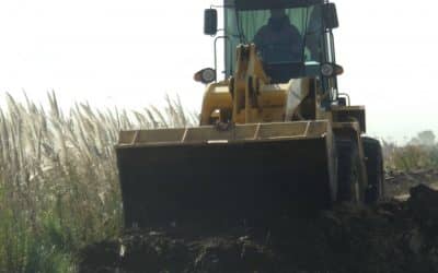 Informe sobre el estado de salud de un operario municipal afectado en el basurero