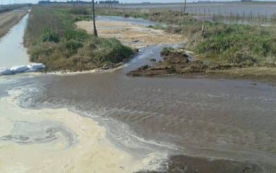 El Municipio denunció una obra clandestina en el límite con Daireaux