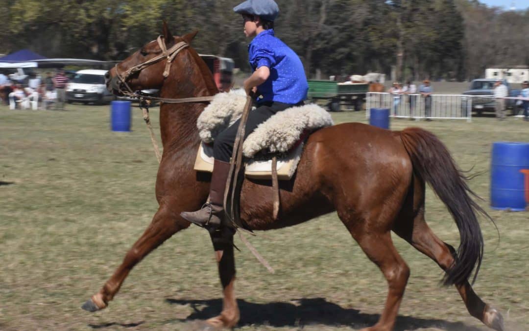 LOS JUEGOS DE RIENDAS Y LAS CARRERAS DE SORTIJAS FUERON LA ATRACCIÓN EN EL SEGUNDO ENCUENTRO ECUESTRE