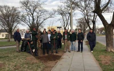 PLAZA BRITANICA: LOS VECINOS DEL BARRIO Y PERSONAL DE ESPACIOS VERDES PLANTARON 32 ARBOLES