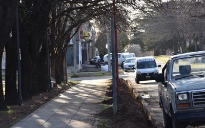 COMO PARTE DE UN PLAN INTEGRAL QUE CONTEMPLA DISTINTOS ESPACIOS PÚBLICOS DE LA CIUDAD, EL MUNICIPIO TRABAJA EN EL RECAMBIO DE LUMINARIAS EN PLAZA FRANCIA