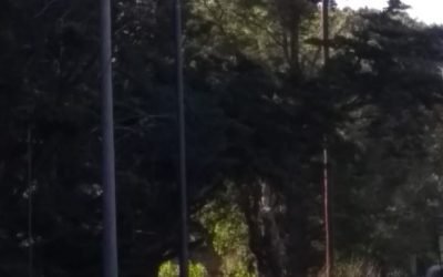 EL MUNICIPIO ESTÁ COLOCANDO 25 COLUMNAS DE ALUMBRADO LED EN LA LACALLE ELPIDIO GONZÁLEZ -CONTINUACIÓN DE MONFERRAND-, CERCA DE LA PLANTA DE GAS