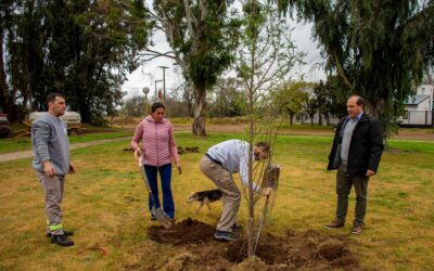 GIRODÍAS COMENZÓ A CELEBRAR SU 115º ANIVERSARIO: FORESTACIÓN EN LA PLAZA, ACTIVIDADES DE LA ESCUELA MUNICIPAL Y MISA DE BAUTISMOS Y CONFIRMACIONES