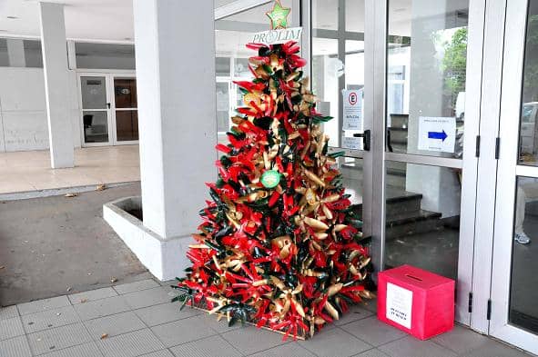 El PROLIM realizó un árbol de Navidad con material reciclado