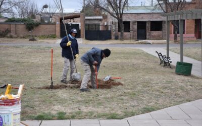 LA MUNICIPALIDAD DE TRENQUE LAUQUEN RECIBIÓ UN RECONOCIMIENTO DE LA RAMCC POR SU PARTICIPACIÓN EN LA CAMPAÑA DE FORESTACIÓN 2025