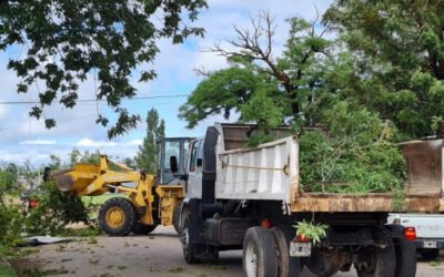 ESPACIOS VERDES RECOMIENDA A LOS VECINOS/AS NO CIRCULAR POR EL INTERIOR DE PARQUES Y PLAZAS HASTA QUE TERMINEN LAS TAREAS DE LIMPIEZA POR EL TEMPORAL