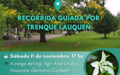 PARA CONOCER LOS ÁRBOLES NATIVOS DE TRENQUE LAUQUEN, EL PRÓXIMO SÁBADO (11) HABRÁ UNA RECORRIDA GUIADA POR LA CIUDAD