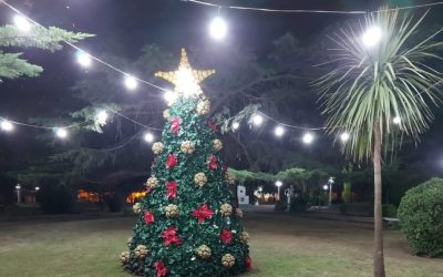 LA COMUNIDAD DE BERUTI TAMBIÉN YA TIENE SU ÁRBOL DE NAVIDAD: FUE ARMADO POR PERSONAL DE LA DELEGACIÓN EN LA PLAZA JOSÉ GUAZZONE