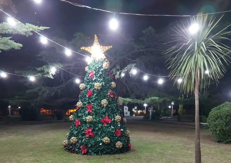 LA COMUNIDAD DE BERUTI TAMBIÉN YA TIENE SU ÁRBOL DE NAVIDAD: FUE ARMADO POR PERSONAL DE LA DELEGACIÓN EN LA PLAZA JOSÉ GUAZZONE