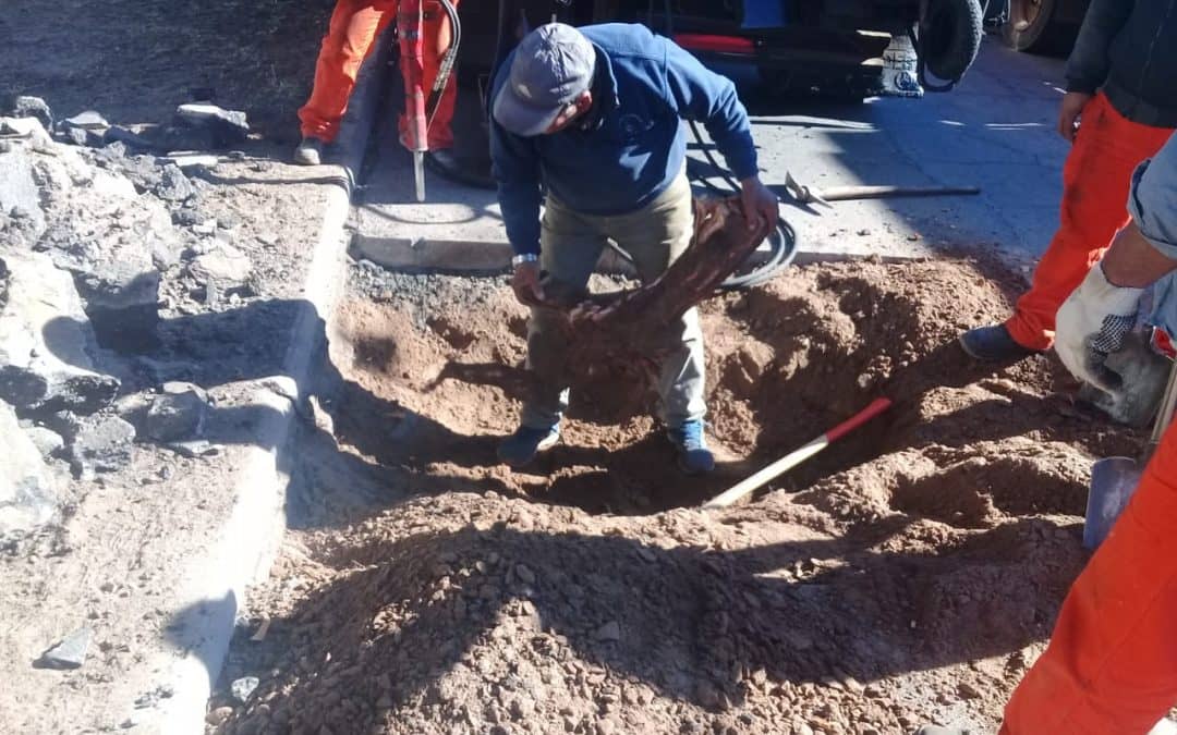 EL MUNICIPIO EJECUTA EN LA CIUDAD TAREAS DE BACHEO, LIMPIEZA DE CANALES Y CONSTRUCCIÓN DE PANTALLAS VEHICULARES Y CORDÓN CUNETA