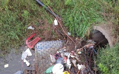 PERJUDICAN A OTROS, SE PERJUDICAN ELLOS: NO SE ENTIENDE