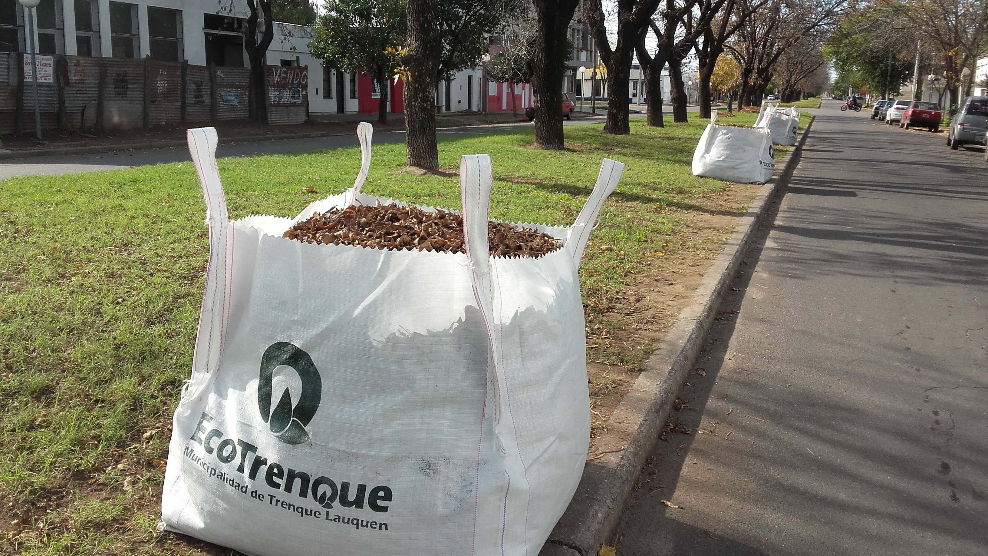 El Municipio coloca bolsones para la recolección de hojas
