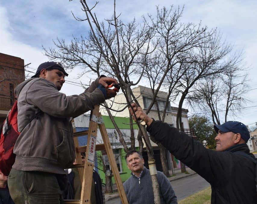 Se realizó una capacitación de poda para empleados municipales