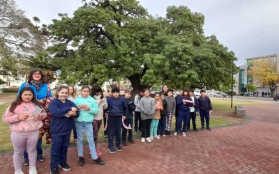 UN GRUPO DEL CEC Nº 801 RECORRIÓ LA PLAZA SAN MARTÍN Y ALUMNOS/AS DE LOS JARDINES Nº 908 Y 909 VISITARON EL MUSEO ALMAFUERTE