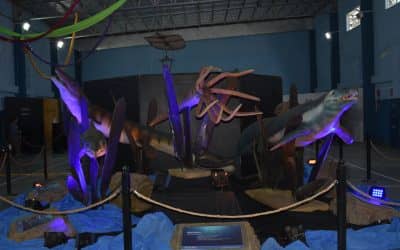 ABRIO HOY SUS PUERTAS LA NUEVA MUESTRA “CIENCIA EN MOVIMIENTO”