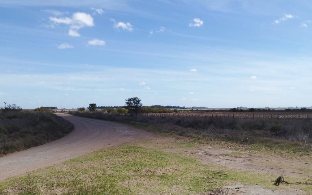 DESDE MAÑANA (MARTES) A LAS 8 HASTA PASADO (MIÉRCOLES) A LAS 16HS. ESTARÁ CERRADO AL TRÁNSITO EL CAMINO 39 ENTRE LA RUTA Nº33 Y ESTANCIA SAN SILVESTRE