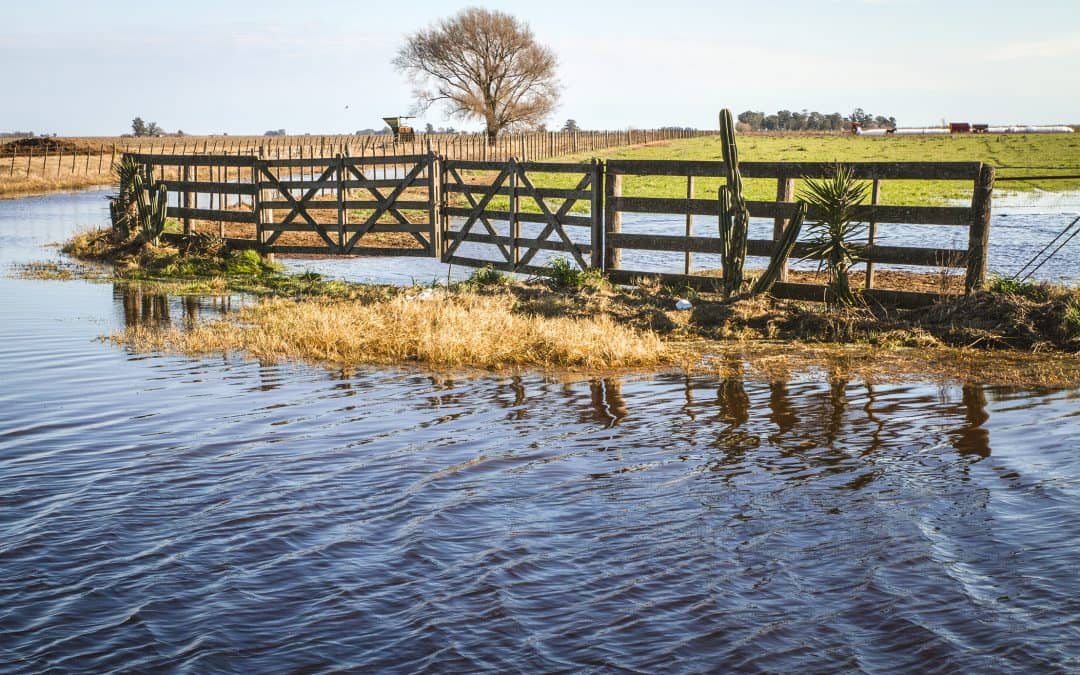 Inundaciones: se colocan alcantarillas en un camino rural en la zona de Beruti