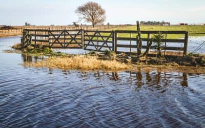 Inundaciones: se colocan alcantarillas en un camino rural en la zona de Beruti