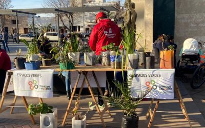 IMPULSADA POR EL ÁREA DE ESPACIOS VERDES Y CON EL ACOMPAÑAMIENTO DE VECINOS/AS SE REALIZÓ UNA JORNADA DE LIMPIEZA EN LA PLAZA SAN MARTÍN