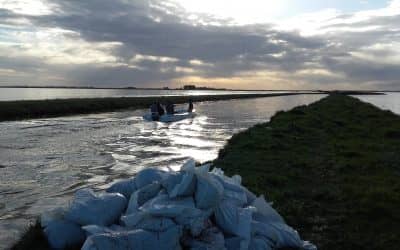 Se busca cerrar una brecha abierta en el canal a la altura del bajo de Milanese