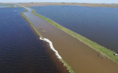 El Municipio reparó un sector del canal Cuero de Zorro que volcaba agua a Martín Fierro