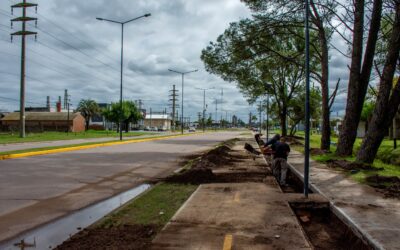 LA REMODELACIÓN DEL ACCESO GARCÍA SALINAS AVANZA CON LA OBRA PLANIFICADA DE CANTEROS DRENANTES: UN INNOVADOR SISTEMA URBANO SUSTENTABLE