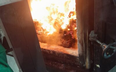 ZOONOSIS MUNICIPAL CONFIRMÓ QUE SE DETECTÓ TRIQUINOSIS EN UNA MUESTRA DE CERDO Y QUE LA CARNE YA FUE DECOMISADA E INCINERADA