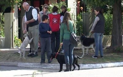 EL QUIRÓFANO MÓVIL DE 30 DE AGOSTO CASTRÓ 30 MASCOTAS EN GIRODÍAS DURANTE TRES JORNADAS DE TRABAJO