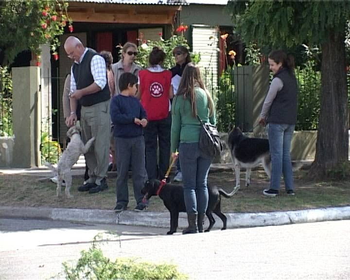 EL QUIRÓFANO MÓVIL DE 30 DE AGOSTO CASTRÓ 30 MASCOTAS EN GIRODÍAS DURANTE TRES JORNADAS DE TRABAJO