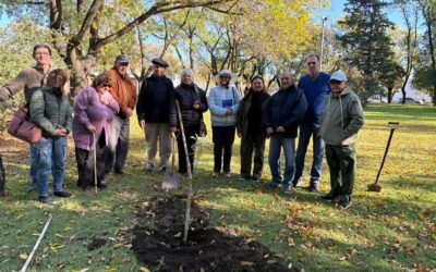 CON LA PLANTACIÓN DE ÁRBOLES EN PLAZA ESPAÑA Y CALLE SAN MARTÍN, EL MUNICIPIO ACOMPAÑÓ LA PRESENTACIÓN DEL 34º POEMARIO TRENQUELAUQUENCHE Y DEL LIBRO DE ABEL TAYBO