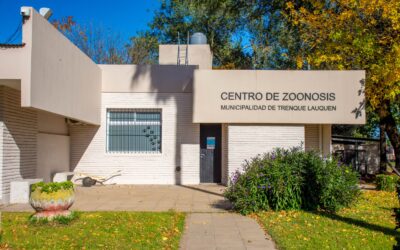 EL CENTRO DE ZOONOSIS MUNICIPAL REALIZÓ MÁS DE 1.200 CASTRACIONES EN LO QUE VA DEL AÑO Y CONTINÚA BRINDANDO SERVICIOS GRATUITOS PARA EL CUIDADO DE LAS MASCOTAS