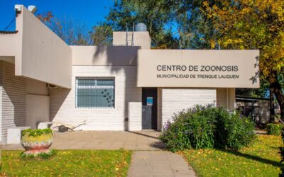 SEMANA DE LUCHA CONTRA LA TRIQUINOSIS: RECOMENDACIONES PARA PREVENIR LA ENFERMEDAD