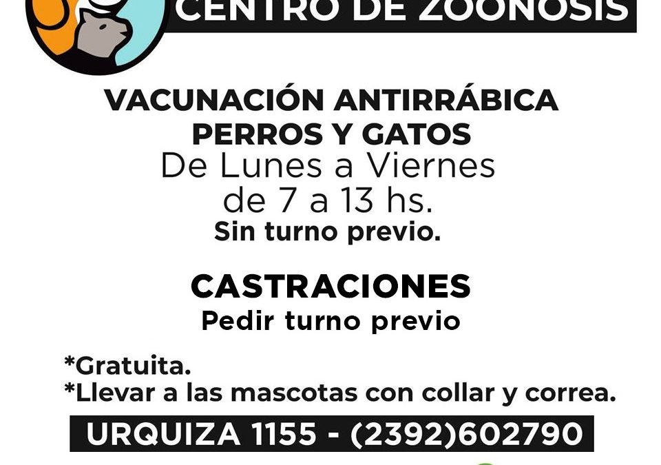 ZOONOSIS REITERA LA IMPORTANCIA DE VACUNAR A LAS MASCOTAS CONTRA LA RABIA ANTE LA CONFIRMACIÓN DE UN CASO EN CORONEL SUÁREZ