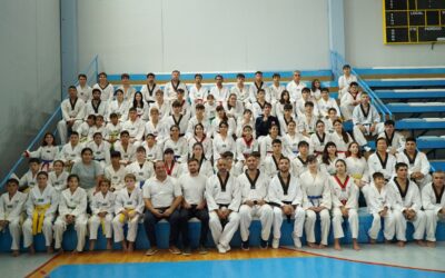 CLÍNICA DEPORTIVA DE TAEKWONDO CON LOS HERMANOS CRISMANICH CON AMPLIA PARTICIPACIÓN EN EL POLIDEPORTIVO MUNICIPAL