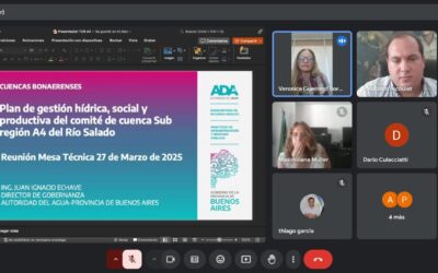 COMITÉ DE CUENCA REGIONAL: SE REALIZÓ UNA REUNIÓN DE LA MESA TÉCNICA