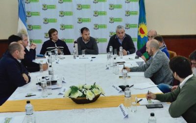 CON PRESENCIA LOCAL SE REALIZÓ UNA REUNIÓN DEL COMITÉ DE CUENCA SUBREGIÓN A4 EN RIVADAVIA