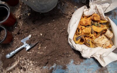 MES DEL COMPOSTAJE: HABRÁ TALLERES PARA INFORMAR Y ASESORAR A LA COMUNIDAD