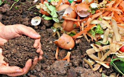 COMIENZA EL MES DEL COMPOSTAJE Y DESDE EL POLO AMBIENTAL SE SUMAN A ESTA INICIATIVA AMBIENTAL QUE PROMUEVE EL COMPOSTAJE DOMÉSTICO