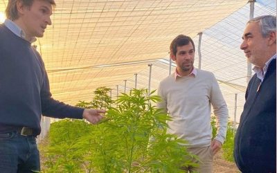 EL INTENDENTE FERNÁNDEZ Y EL GOBERNADOR MORALES FIRMARÁN UN CONVENIO DE COLABORACIÓN PARA EL ESTUDIO Y PRODUCCIÓN DE CANNABIS MEDICINAL