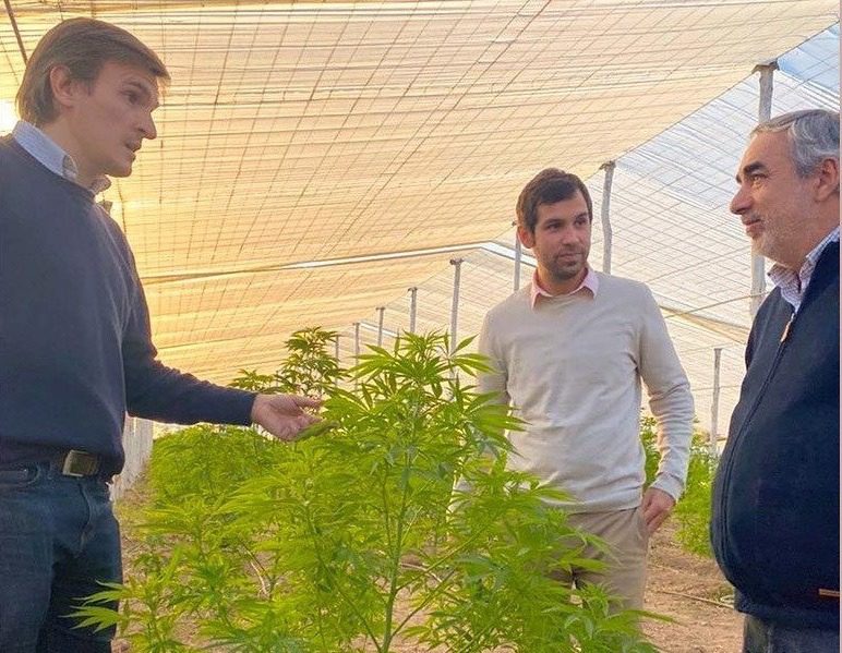 EL INTENDENTE FERNÁNDEZ Y EL GOBERNADOR MORALES FIRMARÁN UN CONVENIO DE COLABORACIÓN PARA EL ESTUDIO Y PRODUCCIÓN DE CANNABIS MEDICINAL