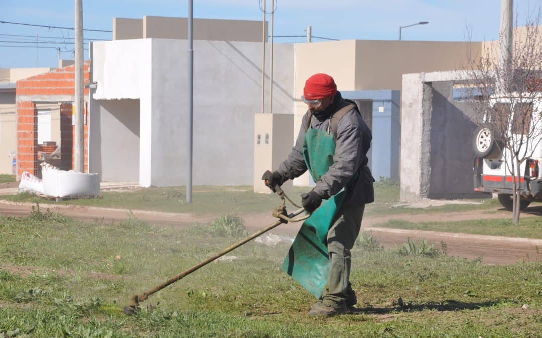Abrió un registro de cortadores de pasto