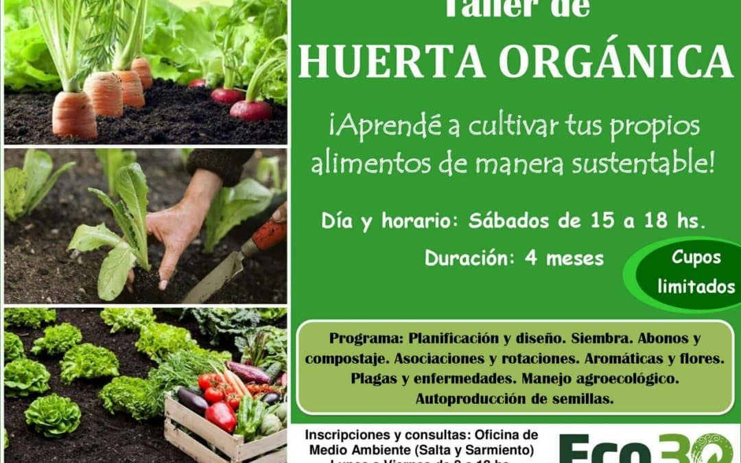 30 de Agosto: Taller de huerta orgánica