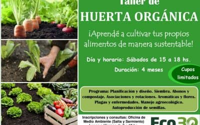 30 de Agosto: Taller de huerta orgánica