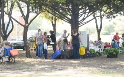 LA FERIA ECOFINES VERDE VOLVERA A INSTALARSE MAÑANA (SÁBADO) EN LA PLAZOLETA ALMIRANTE BROWN